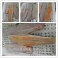 Fujian factory of catfish HGT/ catfish fillet